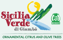 Sicilia Verde